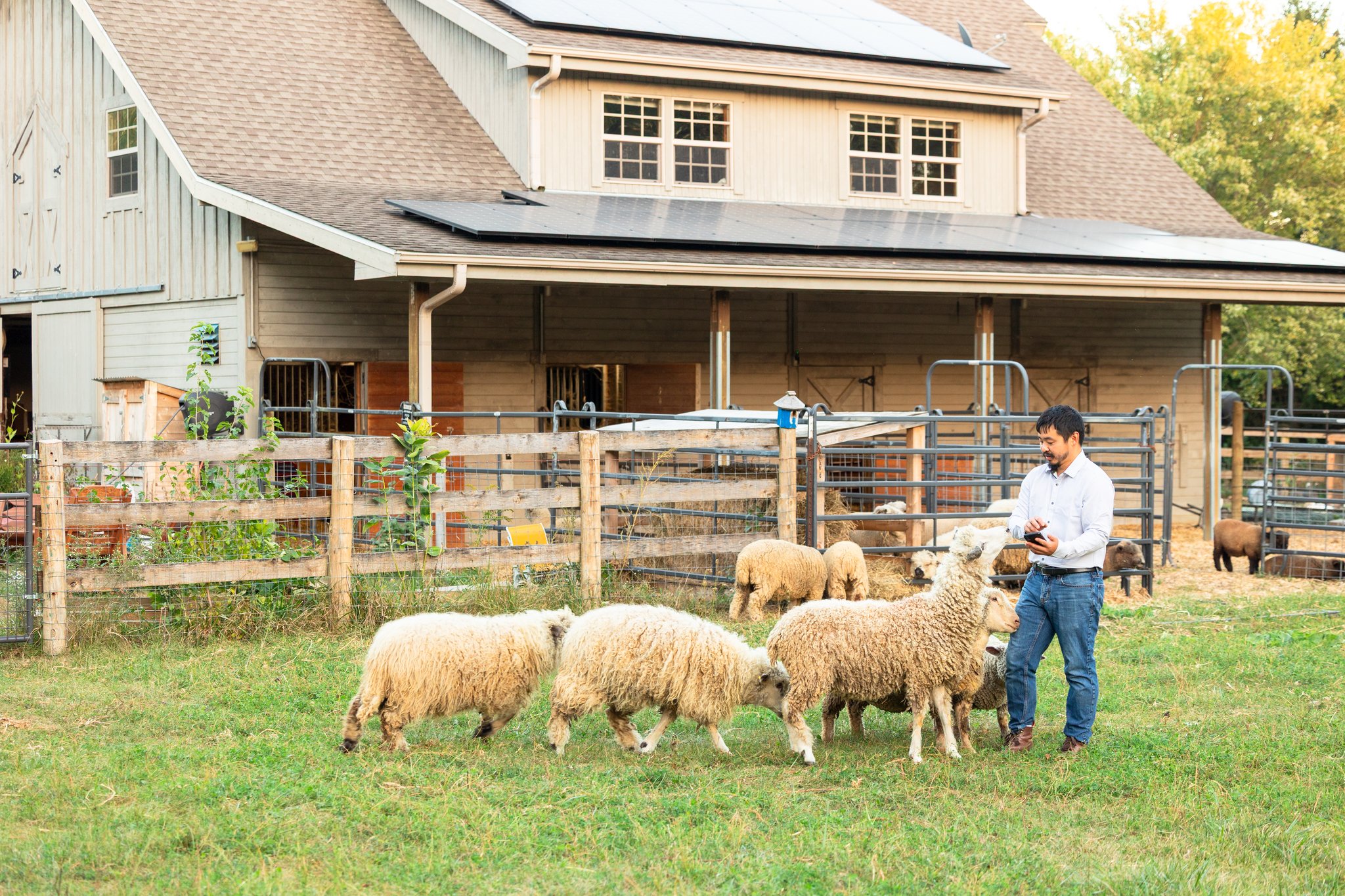 HerdNote - Sheep & Livestock Management Software for Farmers